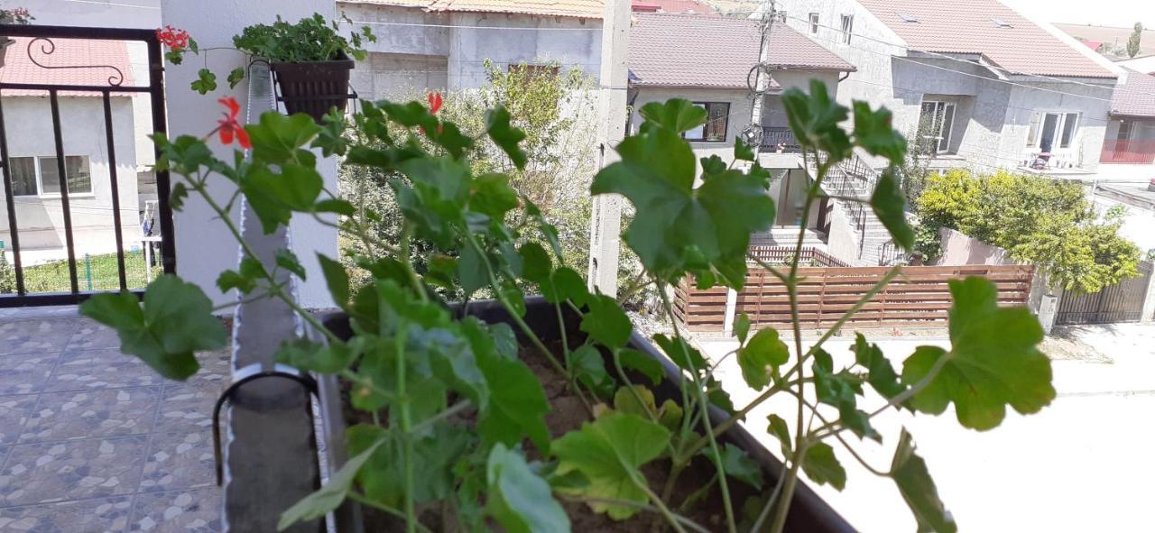 Sunshine Apartments Năvodari Екстериор снимка