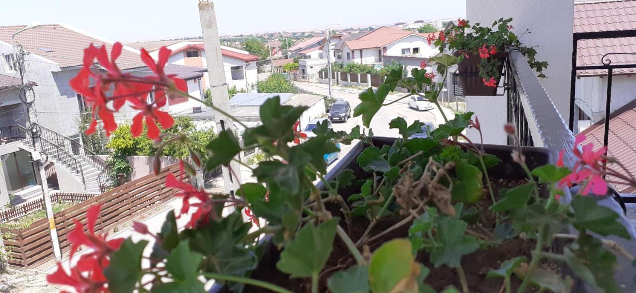 Sunshine Apartments Năvodari Екстериор снимка