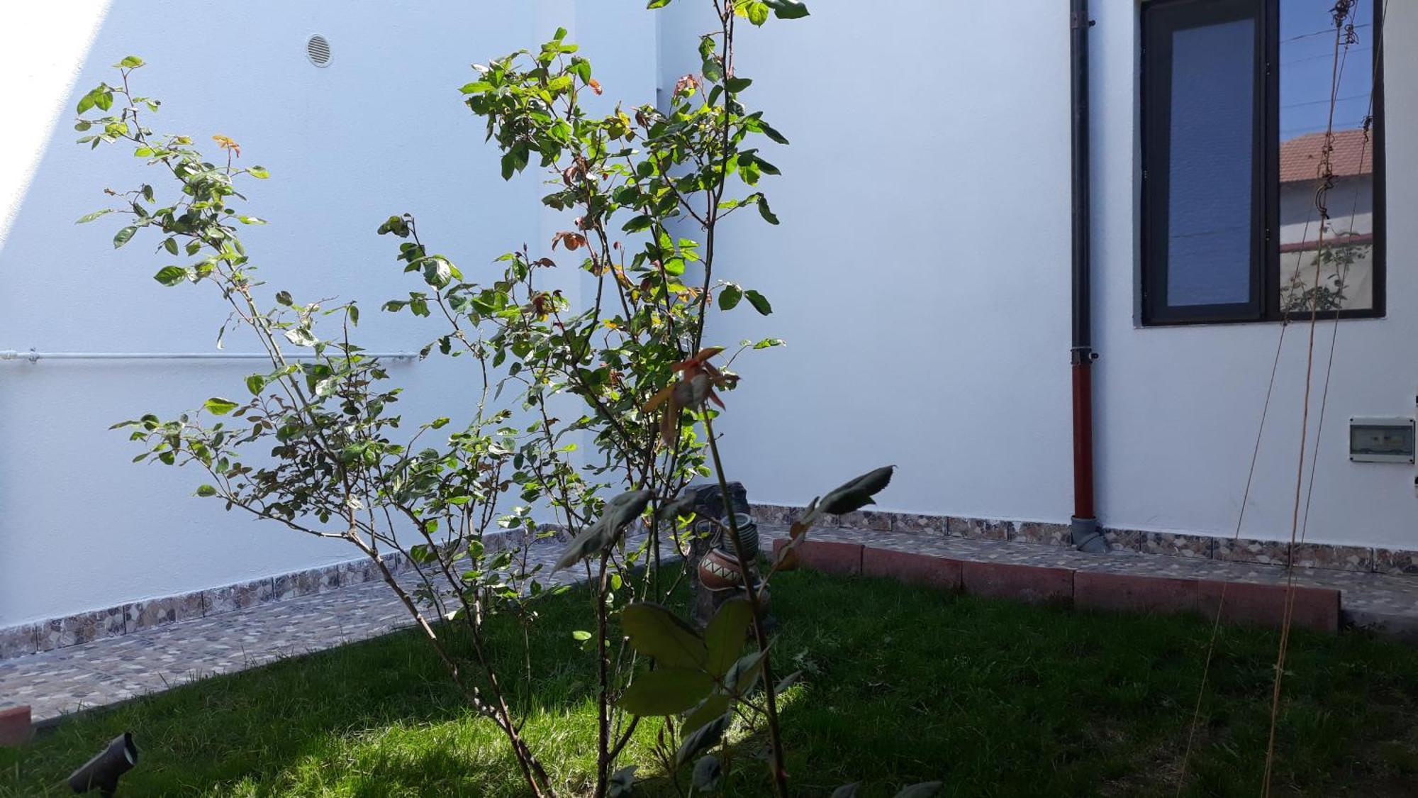 Sunshine Apartments Năvodari Екстериор снимка
